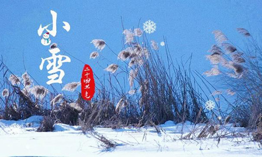 今日小雪丨天地初寒，愿歲月安暖